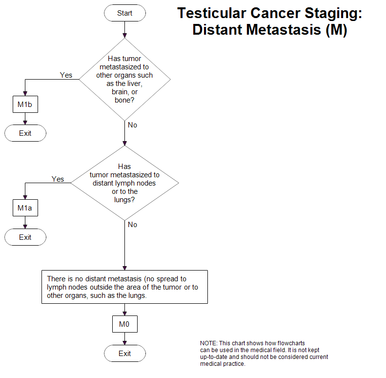 Metastatic Testicular Cancer Prognosis