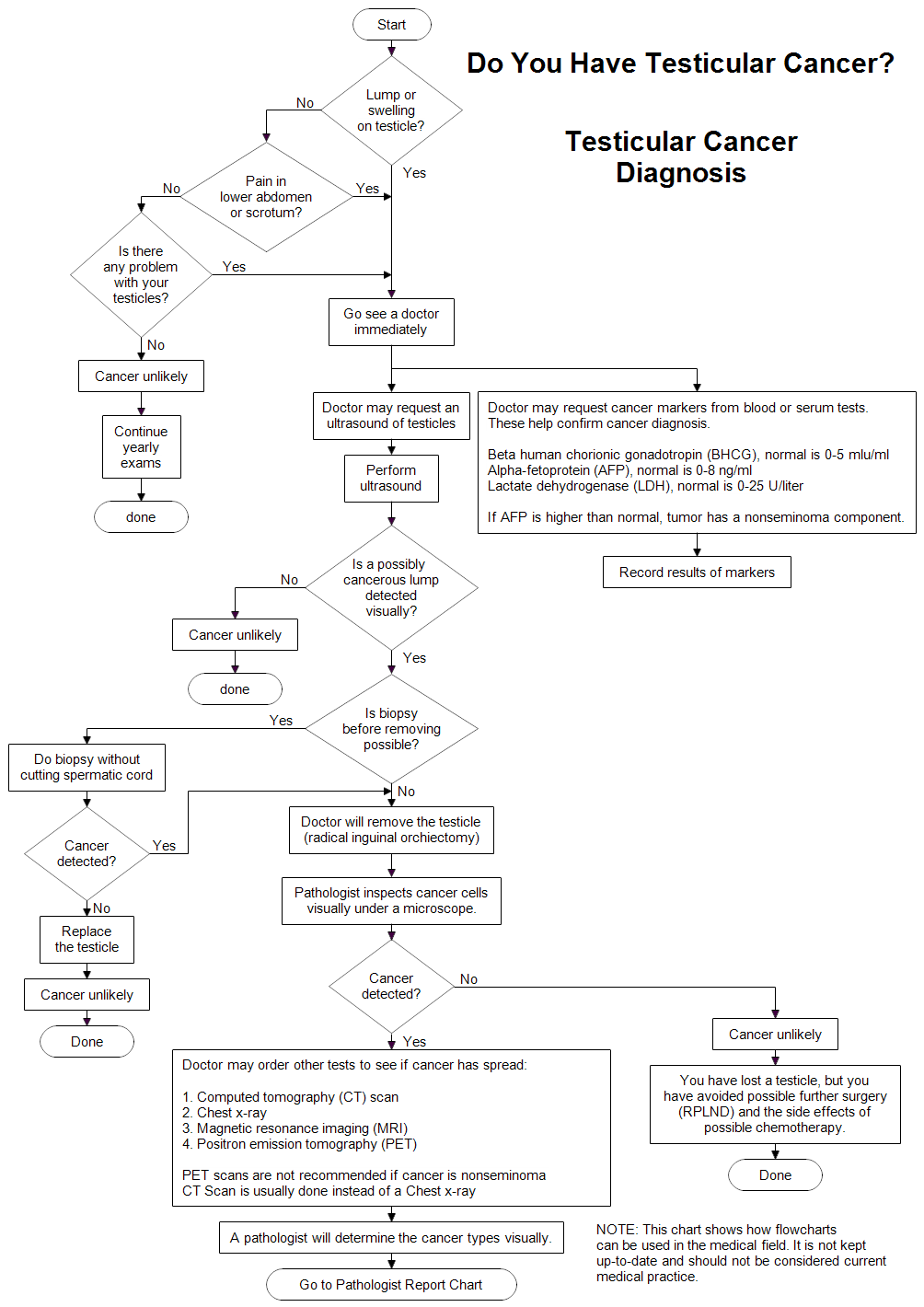 Testicular Cancer Diagnosis Flow Chart