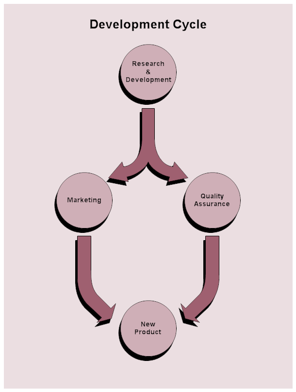 A Development Cycle Diagram