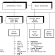 Organization Chart Samples