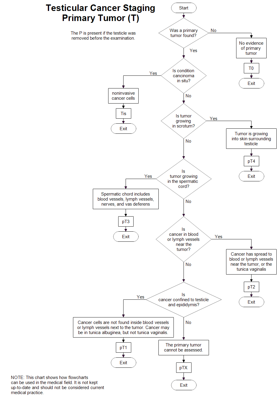 Testicular Cancer Staging: Primary Tumor