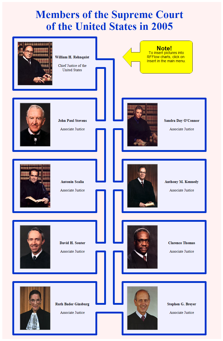 Supreme Court Flow Chart
